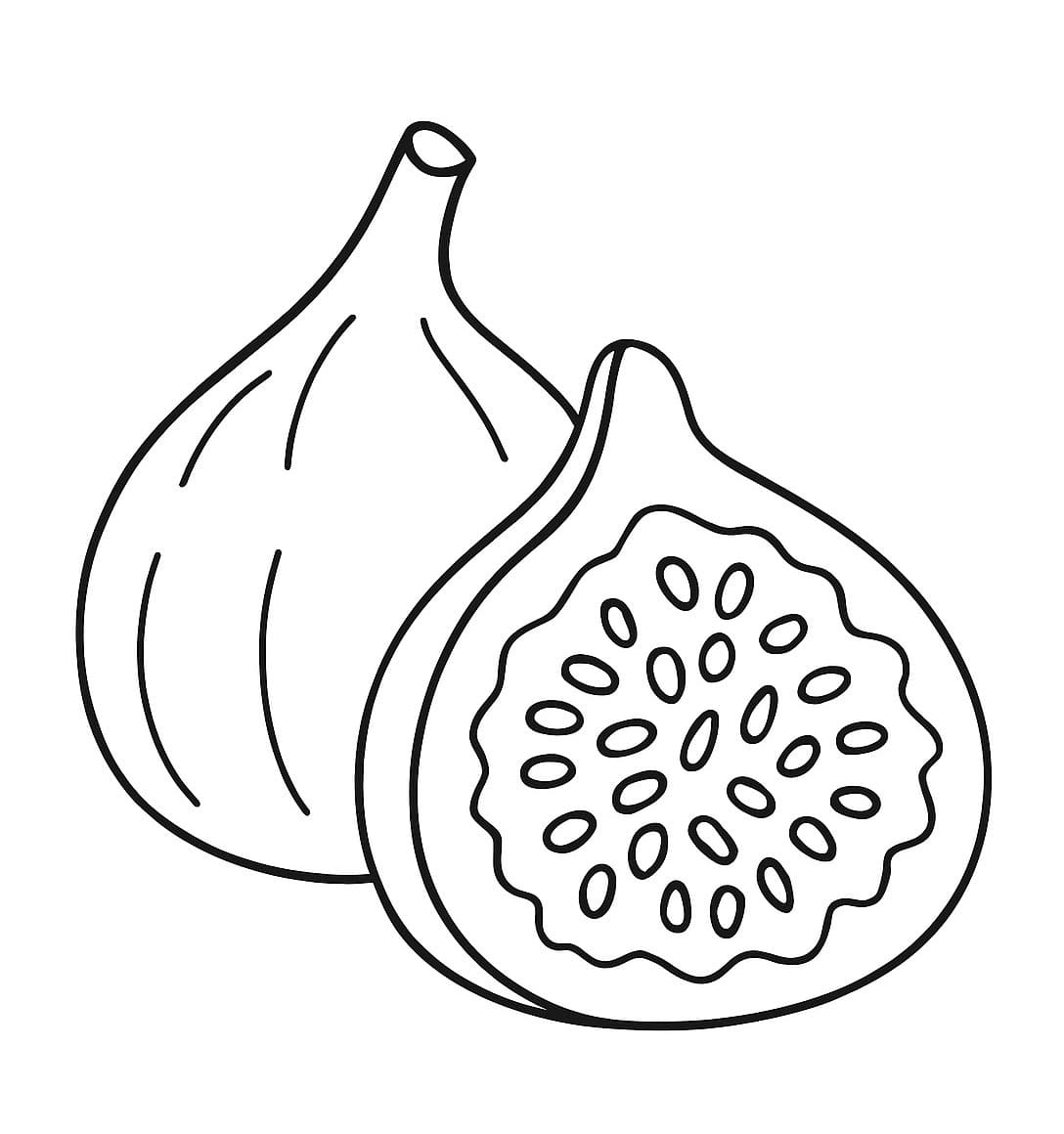 Fichi e mezzo da colorare