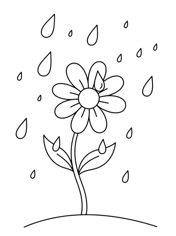 Fiore sotto la pioggia da colorare