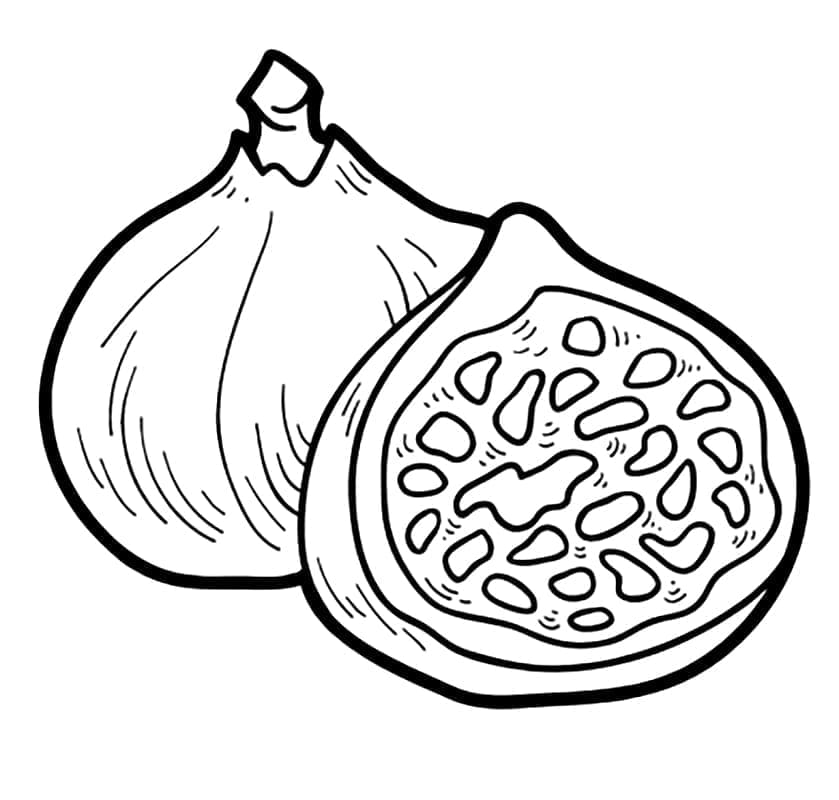 Frutto del fico da colorare