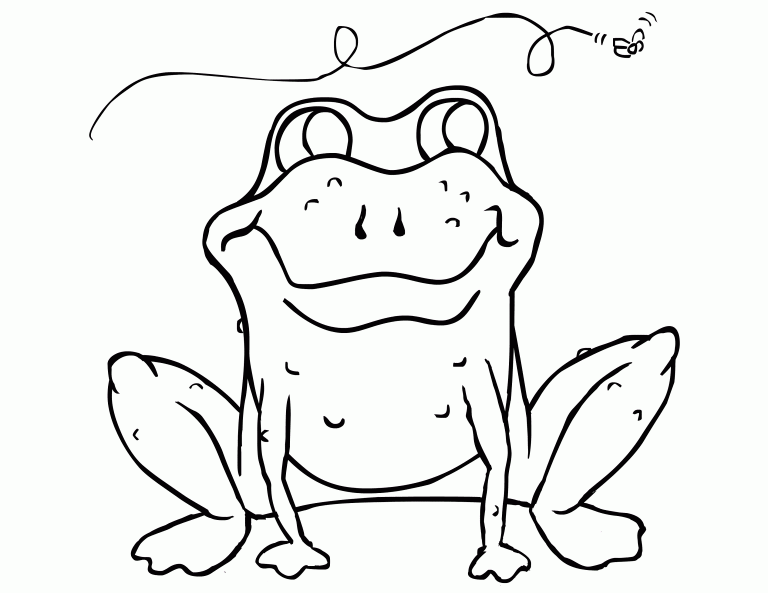 Funny Toad da colorare