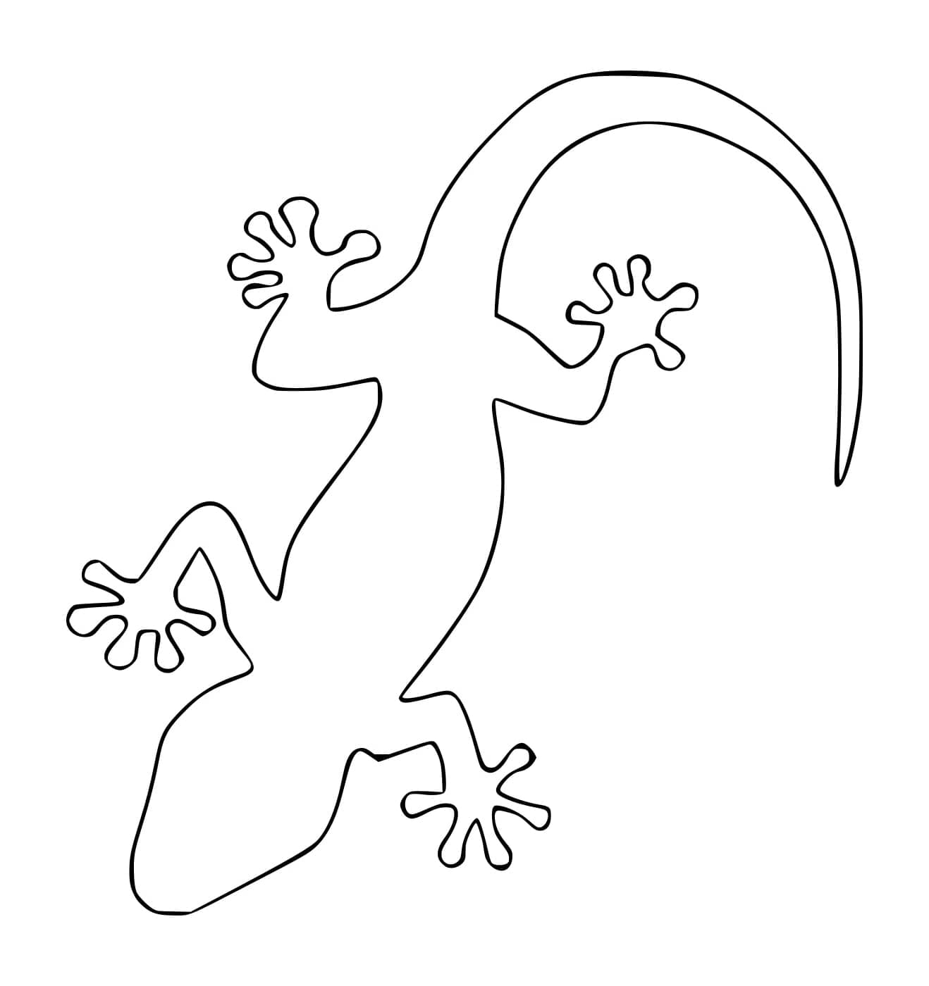 Geco contorno da colorare Geco contorno da colorare