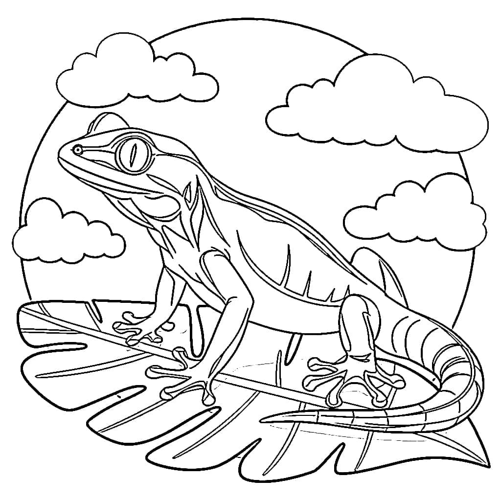 Geco e il cielo da colorare Geco e il cielo da colorare