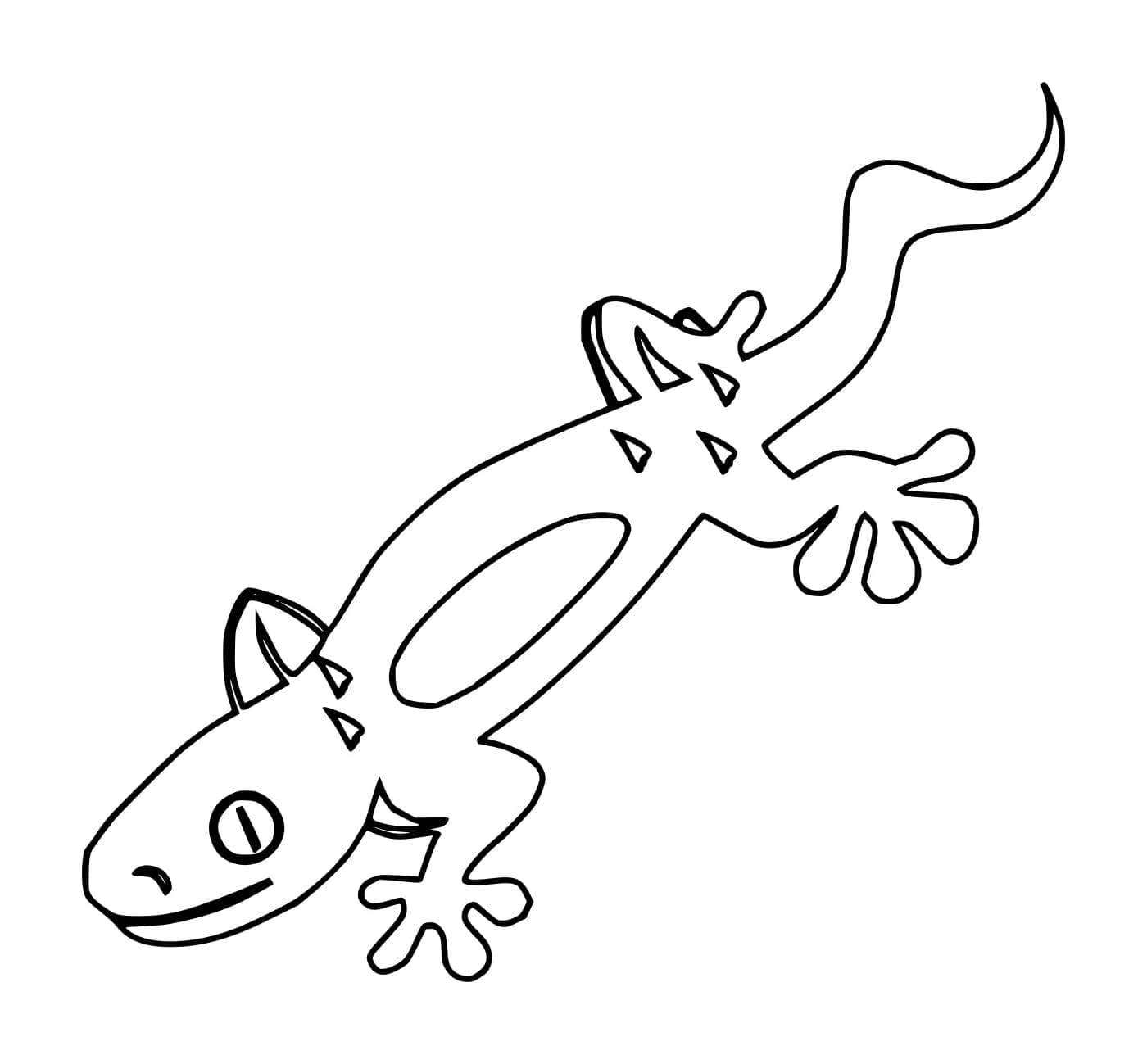 Geco facile e divertente da colorare Geco facile e divertente da colorare