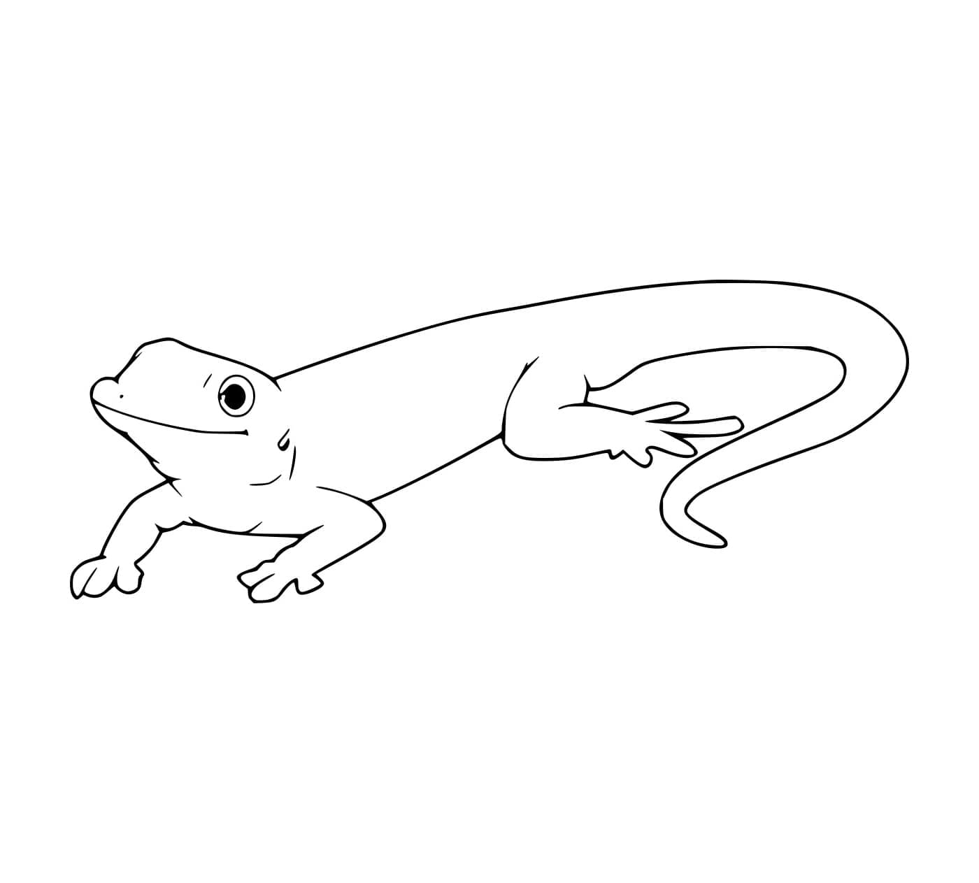 Geco molto facile da colorare Geco molto facile da colorare