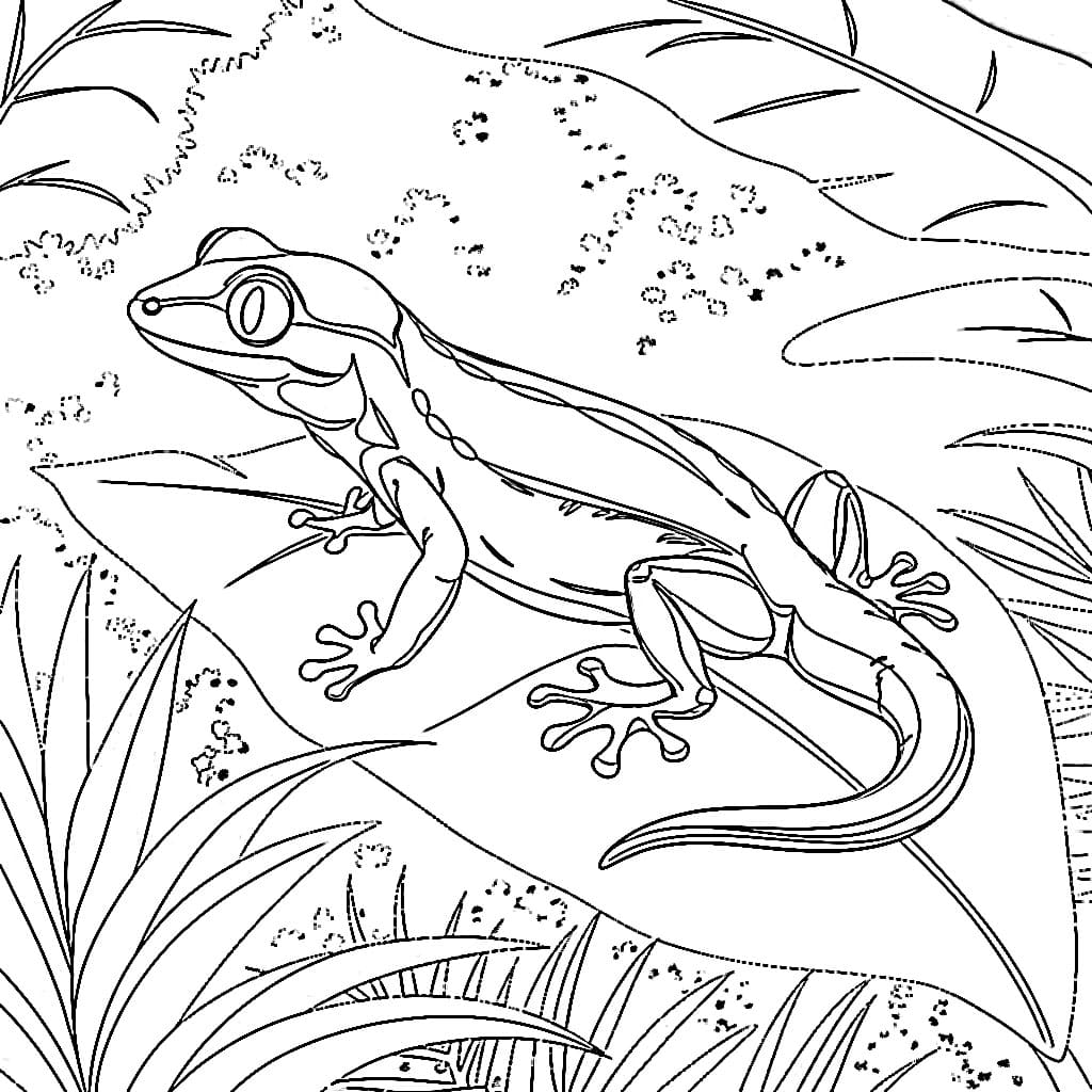 Geco nella foresta da colorare Geco nella foresta da colorare