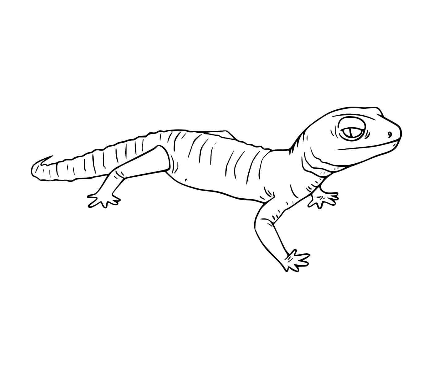 Geco realistico da colorare Geco realistico da colorare