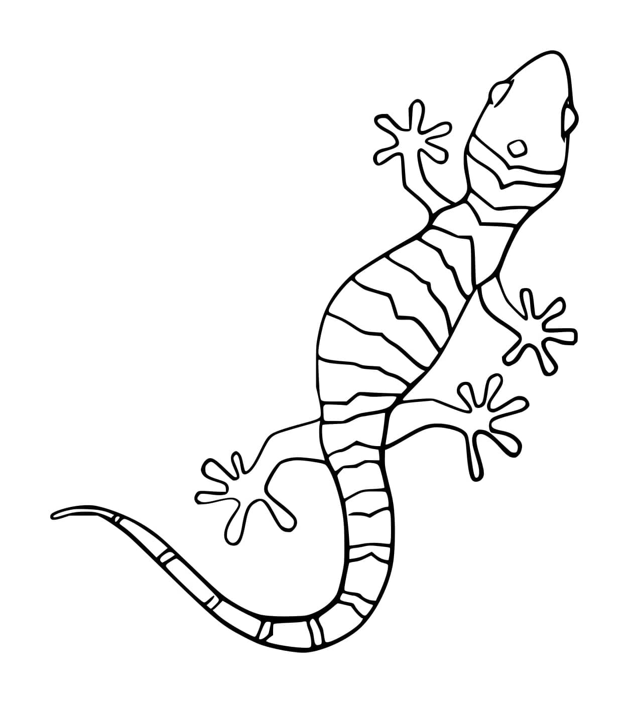 Geco strisciante da colorare Geco strisciante da colorare