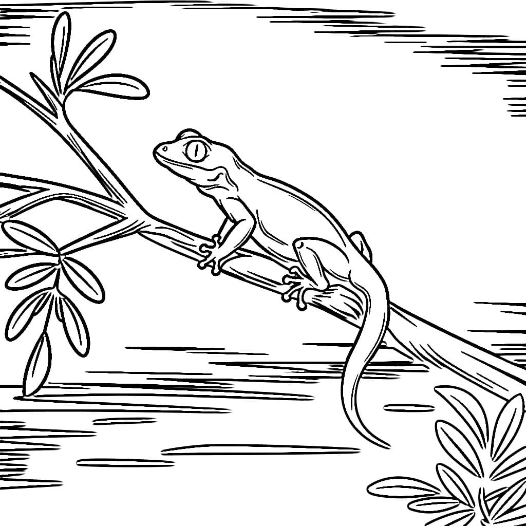 Geco sull'albero da colorare Geco sull'albero da colorare