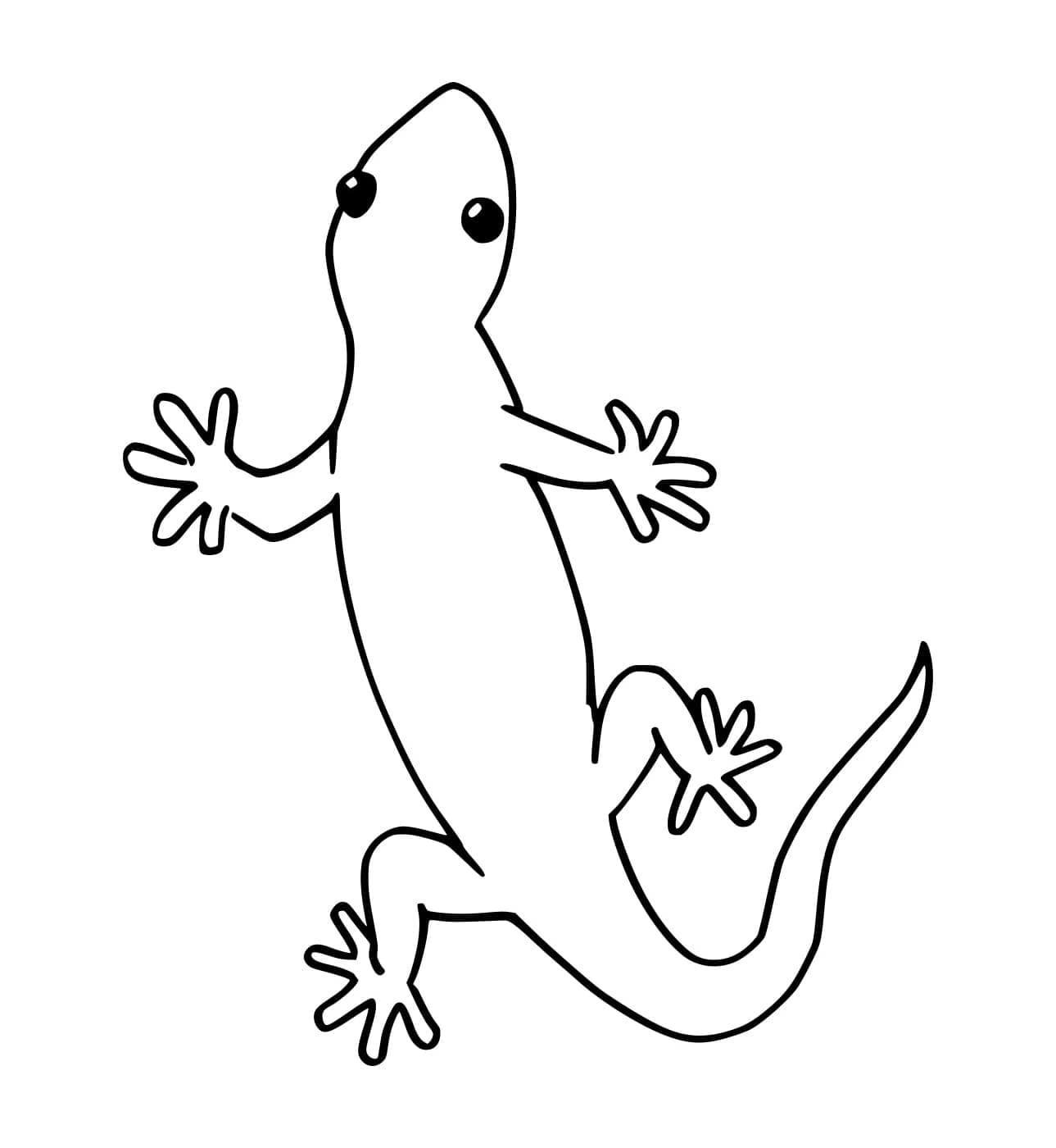 Geco vuoto da colorare Geco vuoto da colorare