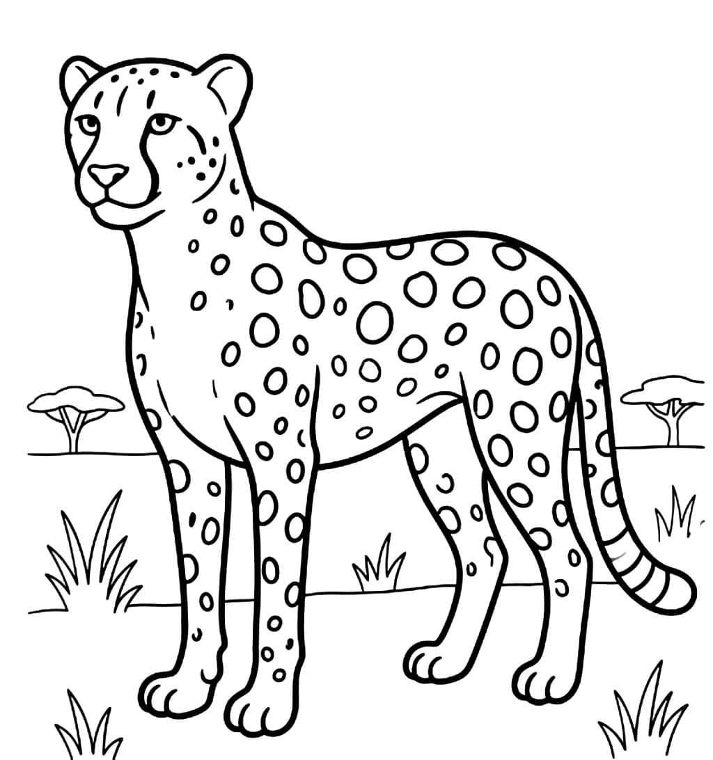 Ghepardo in cerca da colorare