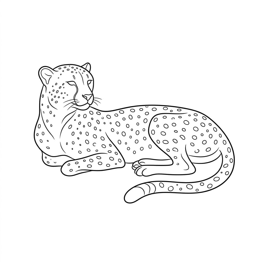 Ghepardo sdraiato da colorare