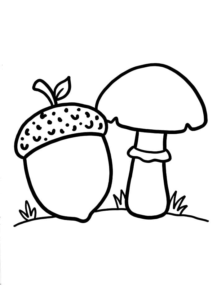 Ghianda e Fungo da colorare