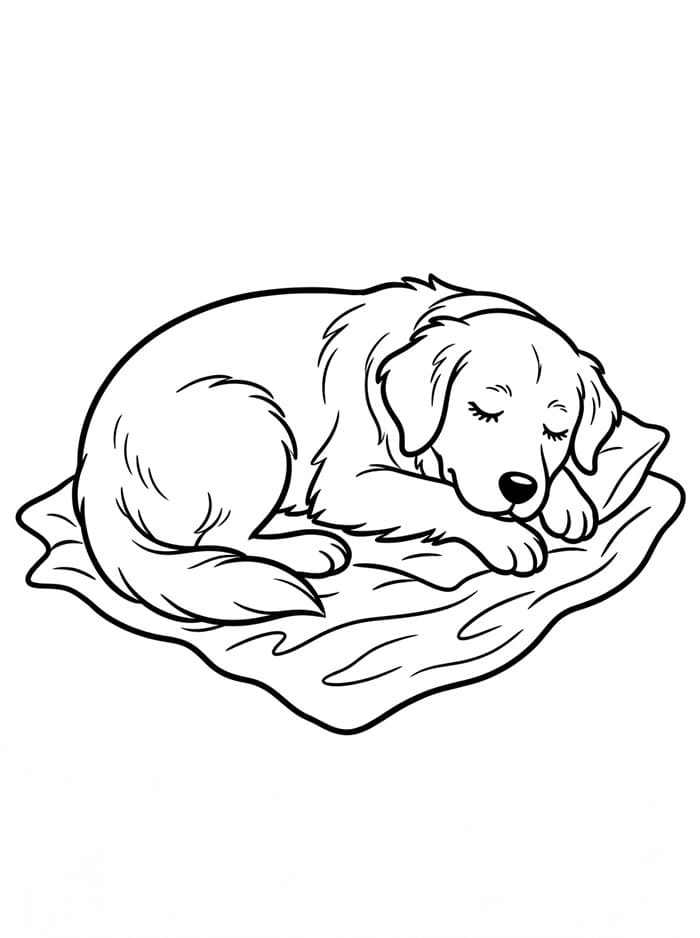 Golden Retriever assonnato da colorare