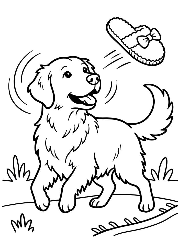 Golden Retriever che lancia una pantofola da colorare