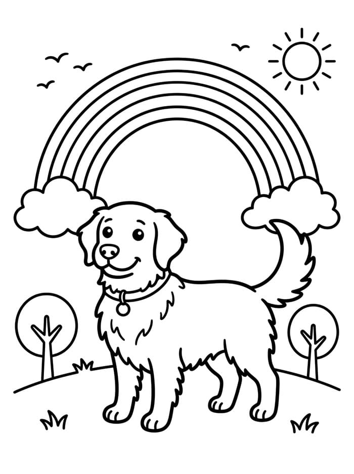Golden Retriever con arcobaleno da colorare