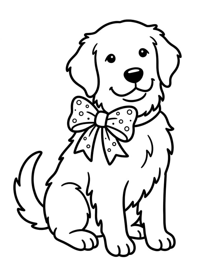 Golden Retriever con fiocco da colorare