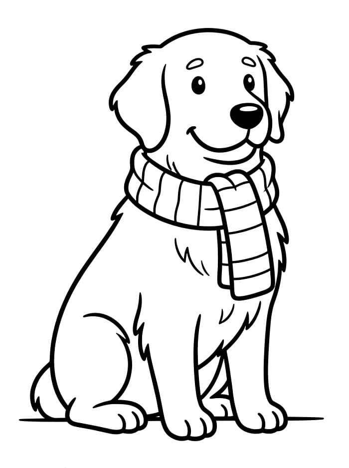 Golden Retriever con sciarpa da colorare