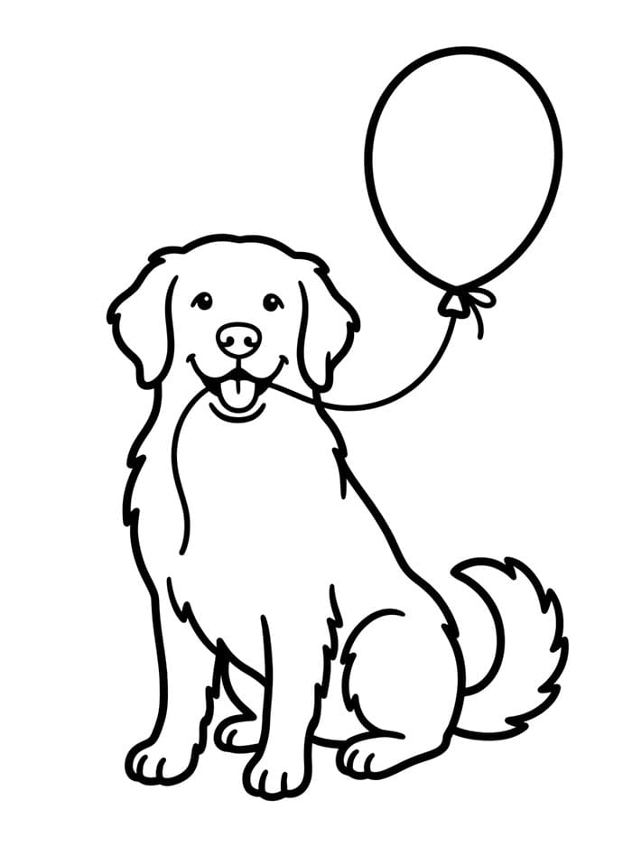 Golden Retriever con un palloncino da colorare