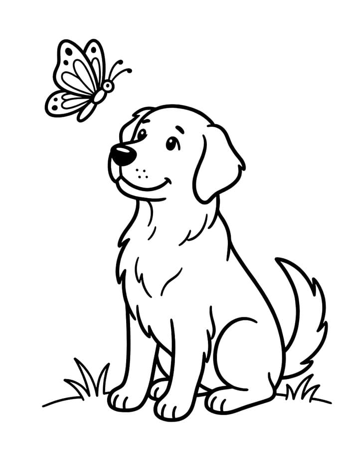 Golden Retriever con una farfalla da colorare
