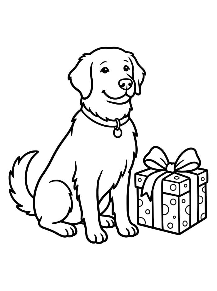 Golden Retriever e regalo da colorare