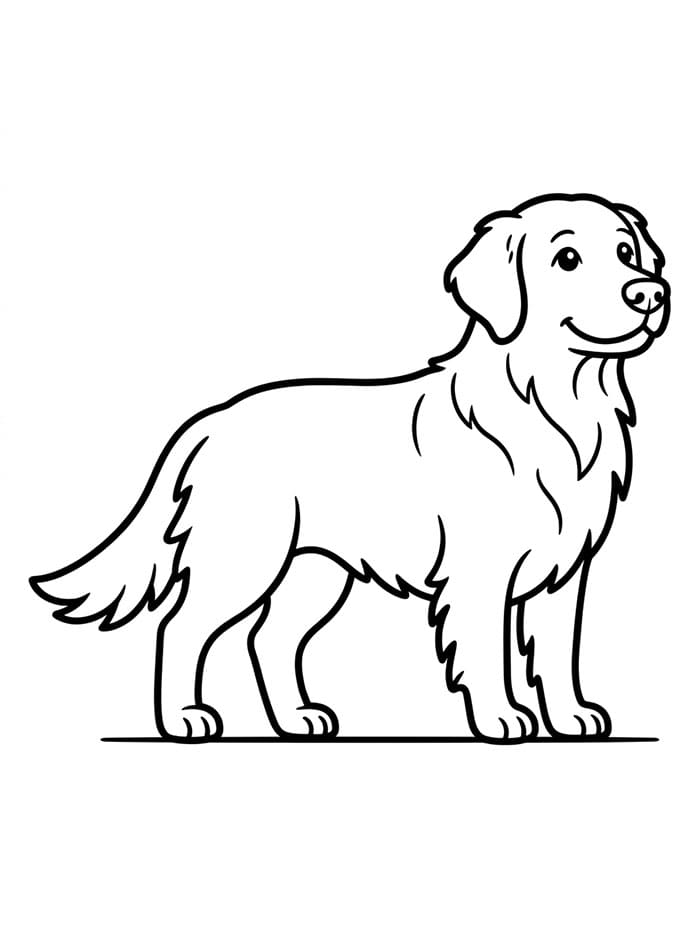 Golden Retriever in piedi da colorare