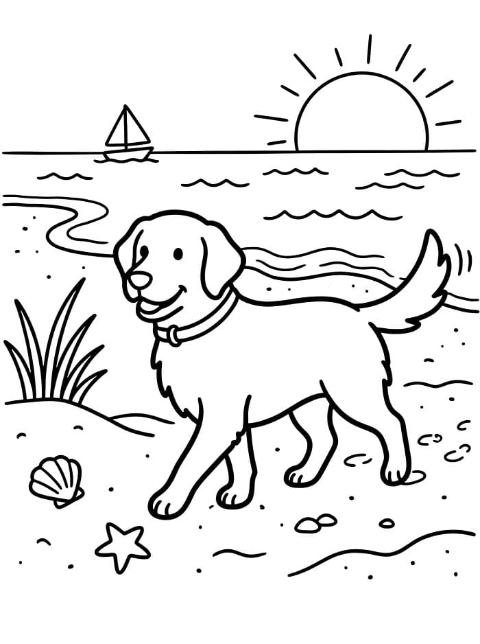 Golden Retriever in spiaggia da colorare