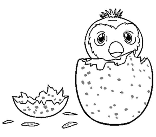 Hatchimals gratis da colorare