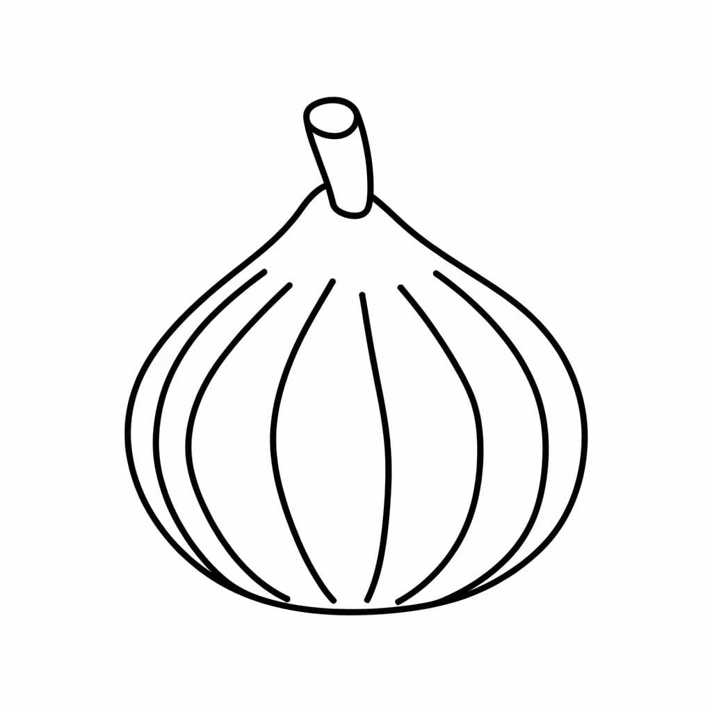 I fichi sono semplici da colorare