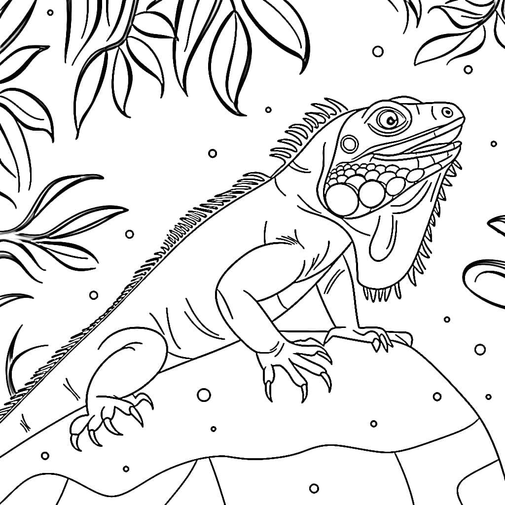 Iguana per bambini da colorare Iguana per bambini da colorare