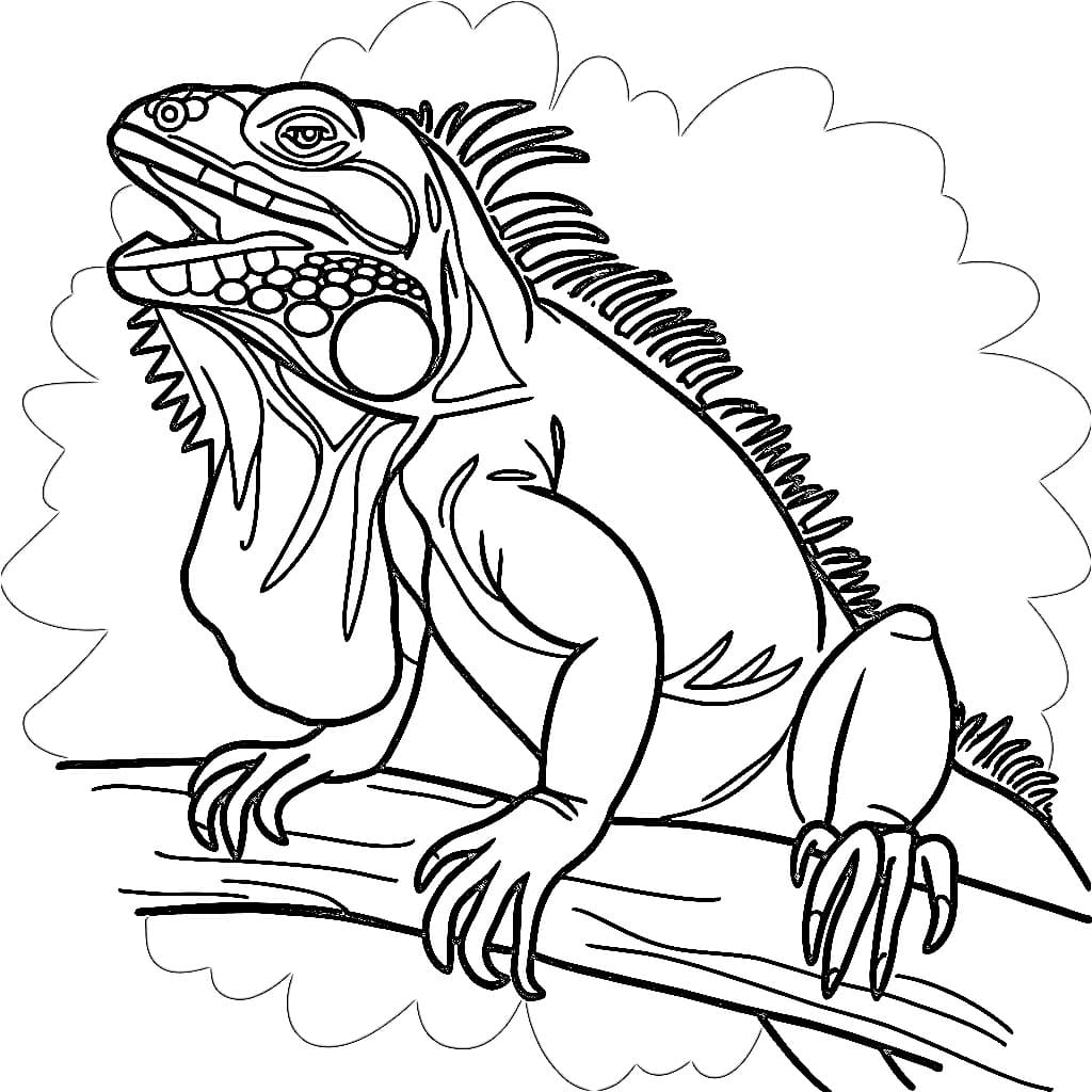 Iguana realistic da colorare Iguana realistic da colorare