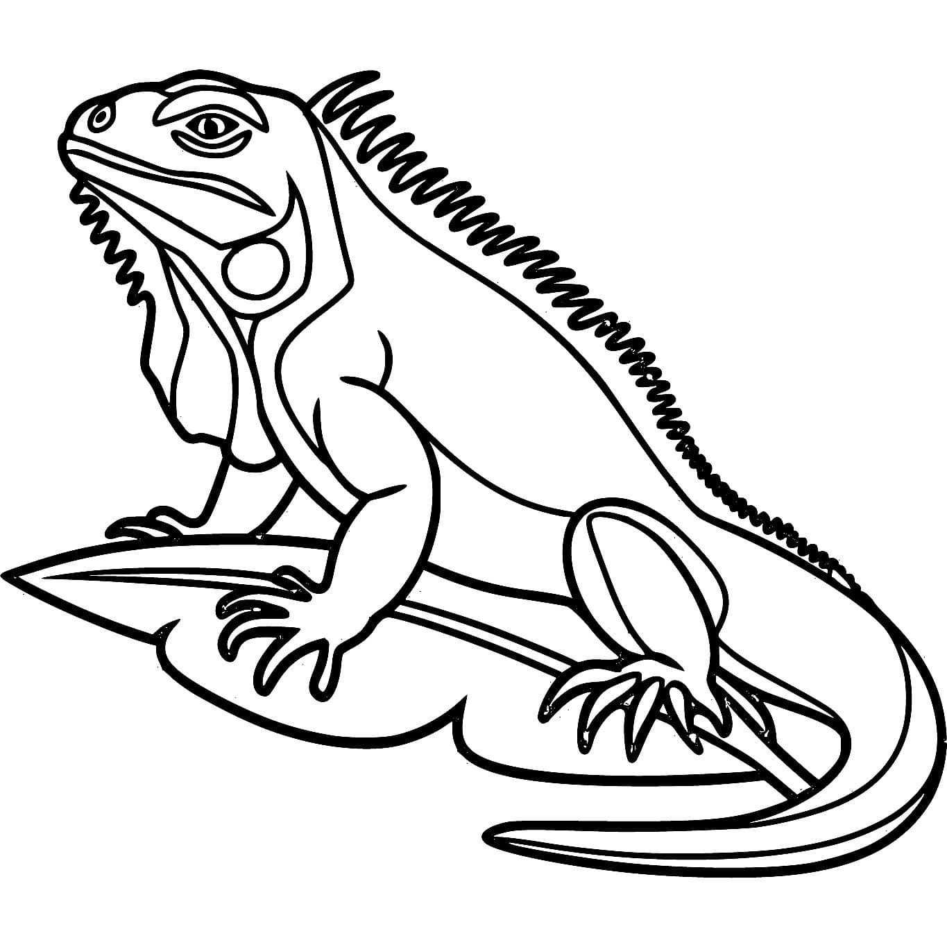 Iguana semplice da colorare Iguana semplice da colorare