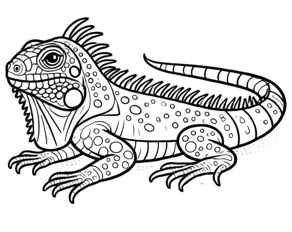 Iguana stampabile gratuita da colorare Iguana stampabile gratuita da colorare