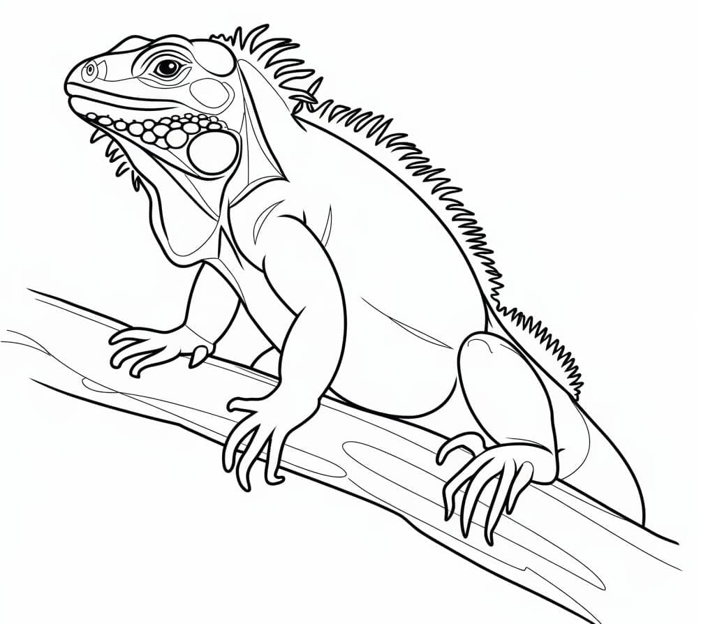 Iguana sull'albero da colorare Iguana sull'albero da colorare