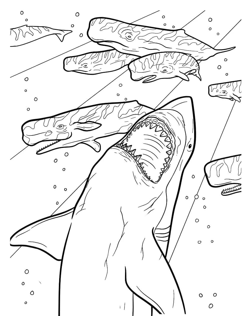 Il Megalodonte sta attaccando da colorare