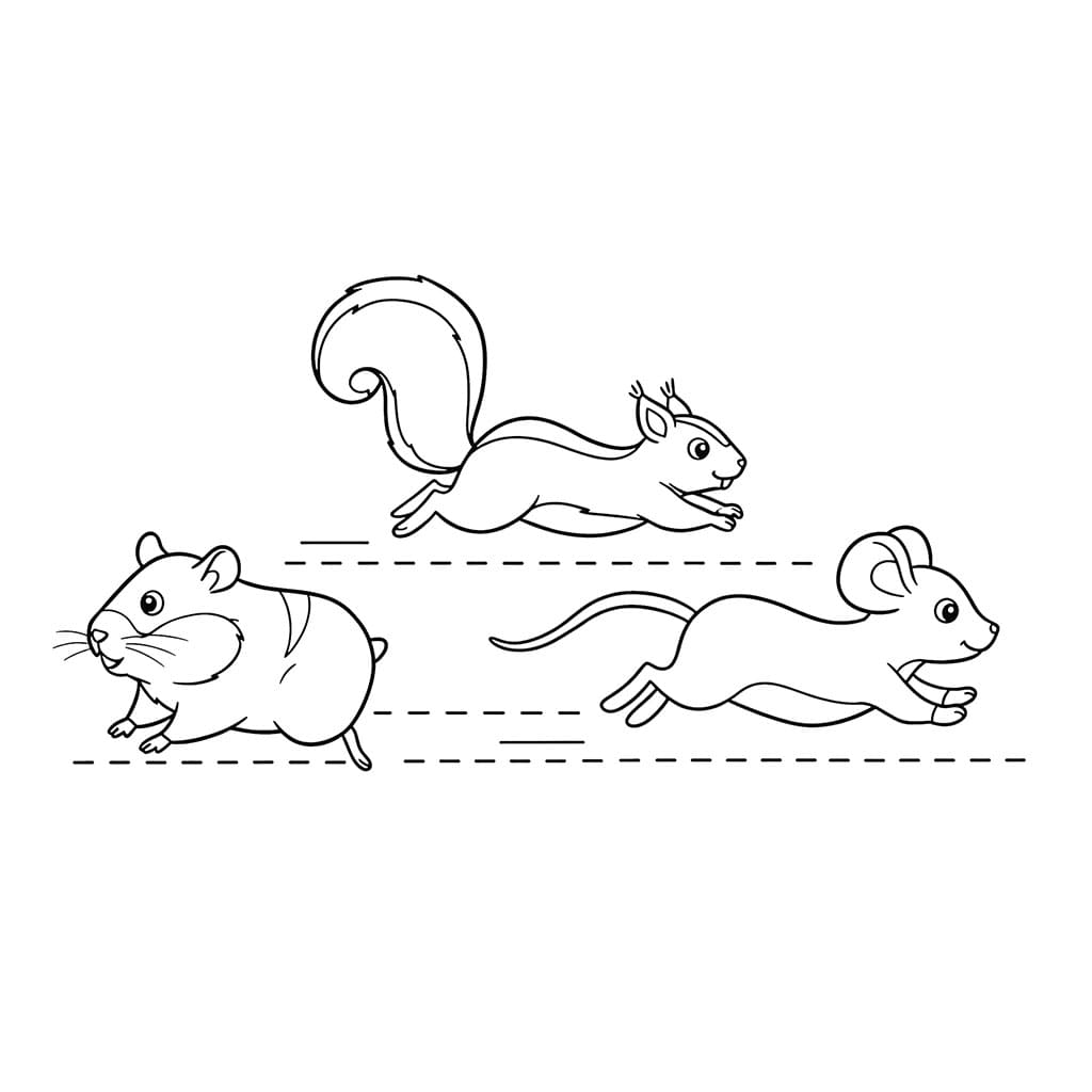 Il criceto scappa via da colorare