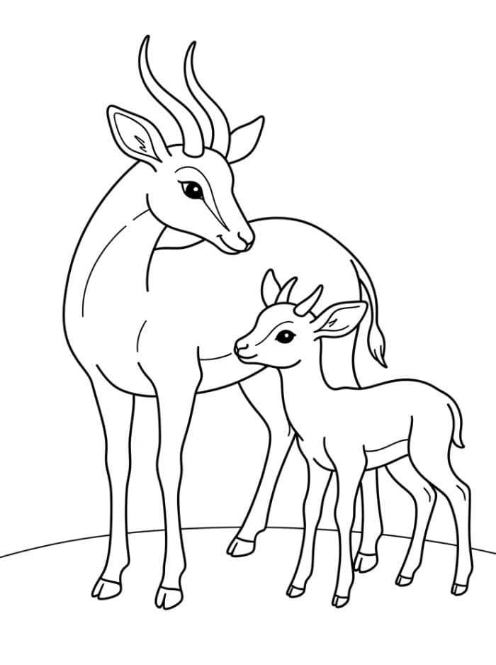 Immagine di antilope con piccolo da colorare