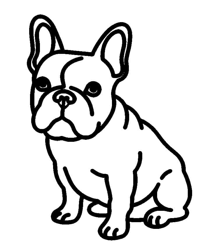 Immagine di bulldog francese da colorare