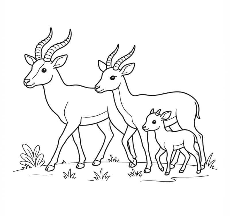 Immagine di famiglia di antilopi da colorare