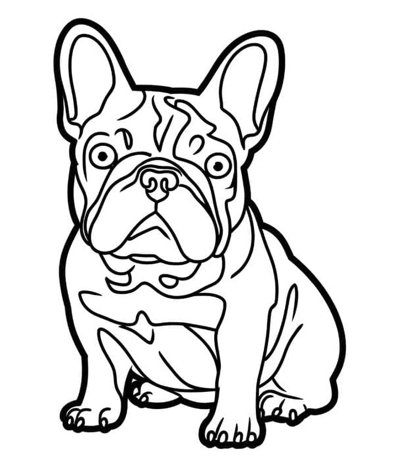 Immagine di un bulldog francese da colorare