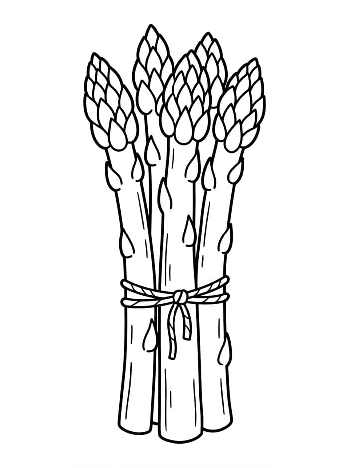 Immagine gratuita di asparagi da colorare