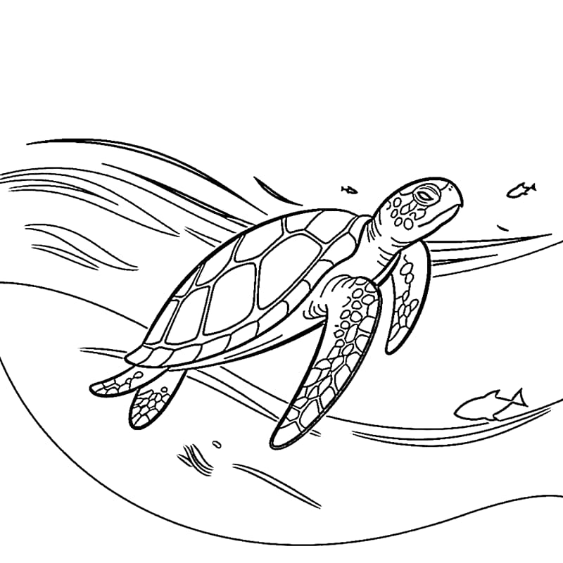 Immagine gratuita di tartaruga marina da colorare