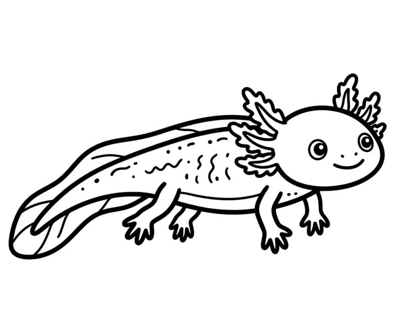 Immagine gratuita di un axolotl da colorare