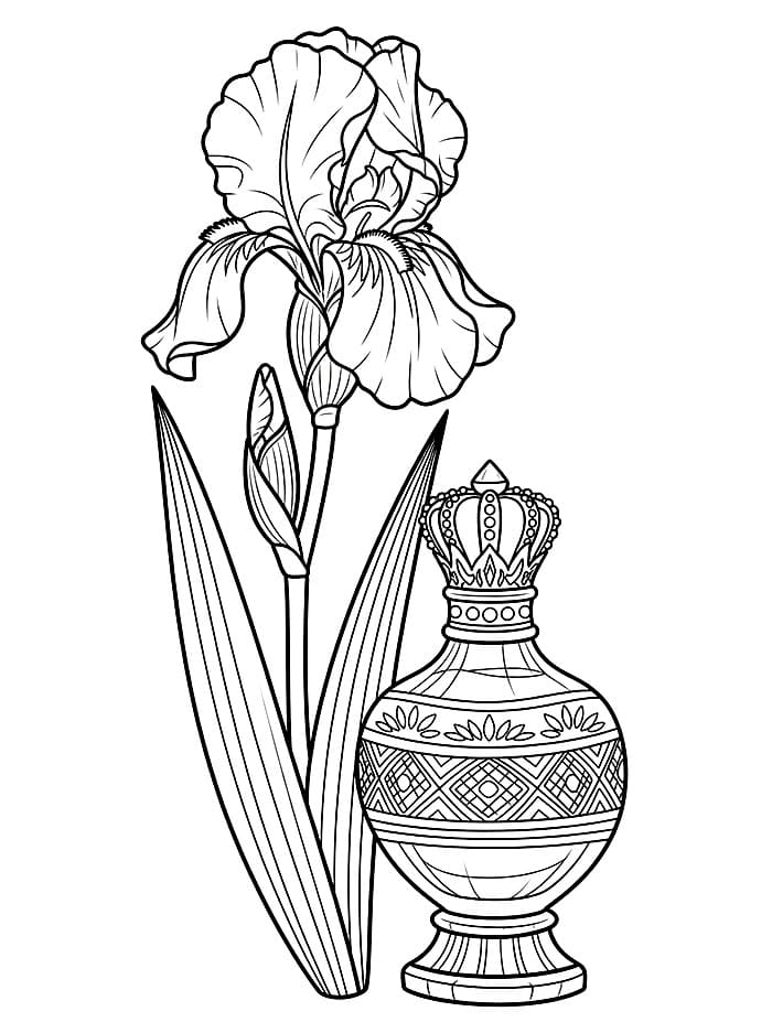 Iris con Vaso da colorare