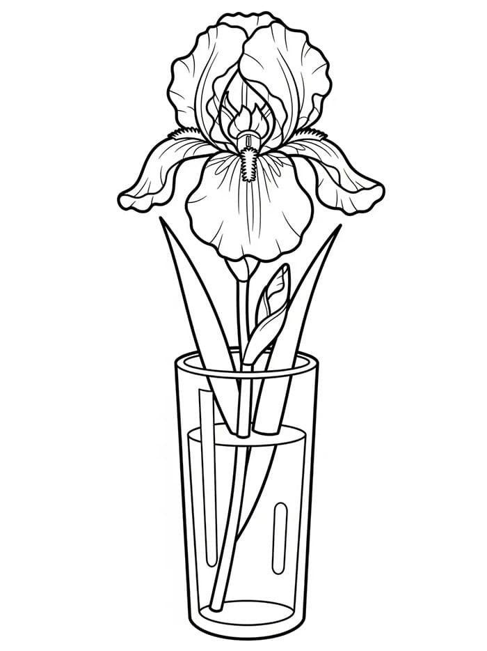 Iris in un Vaso Alto da colorare