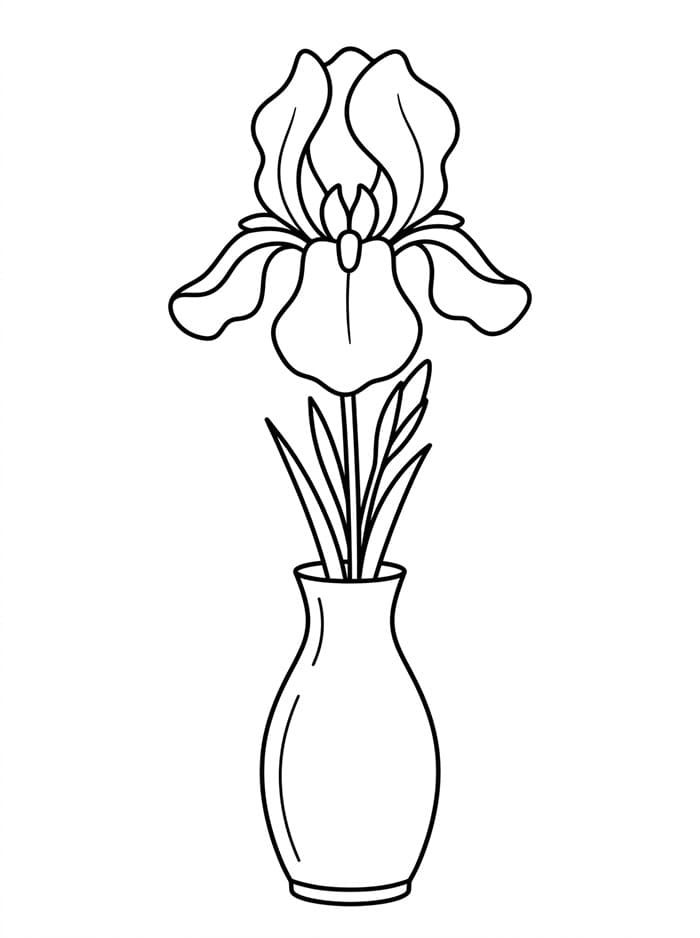 Iris in un semplice vaso da colorare