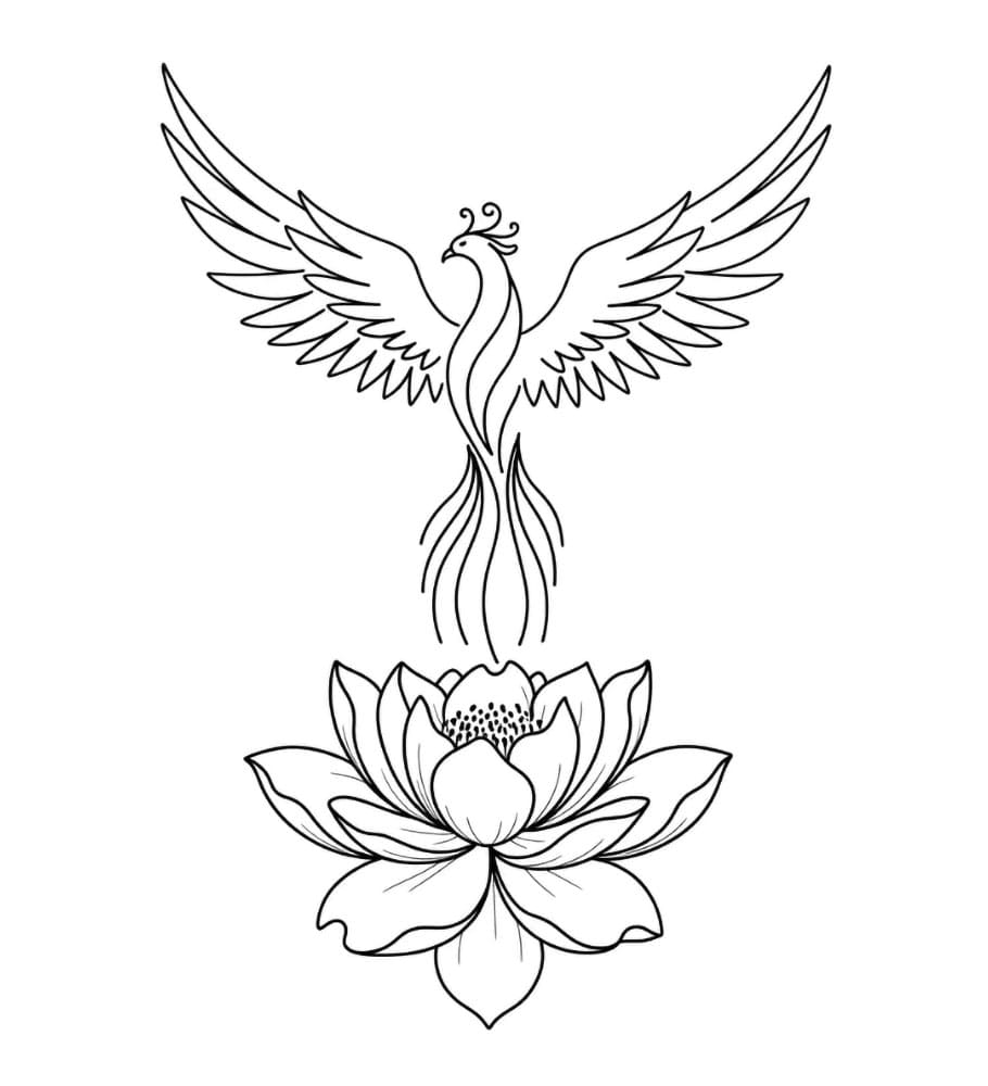 La fenice e il fiore di loto da colorare