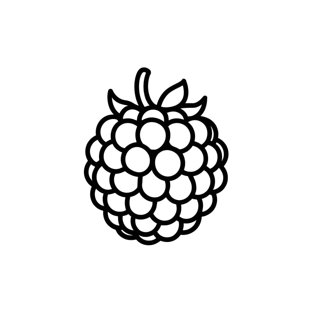 Lampone base da colorare