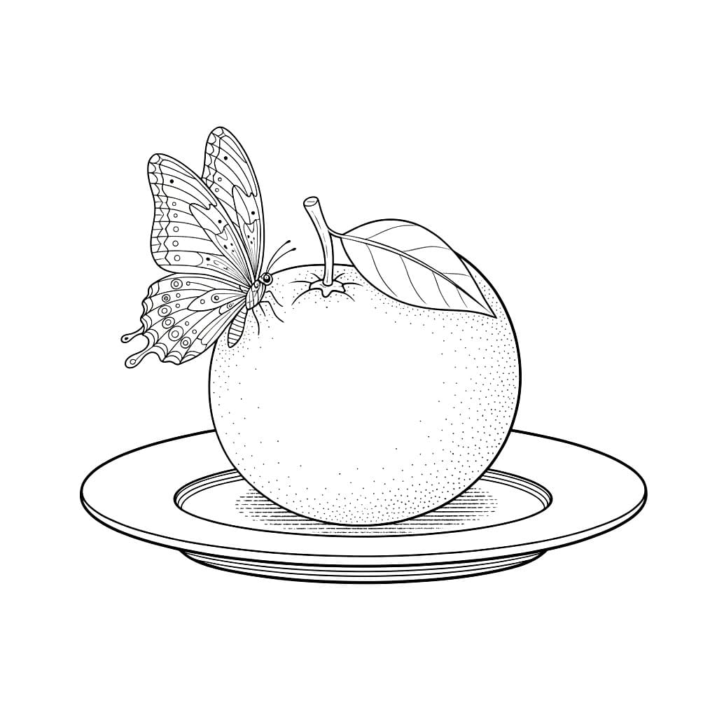 L'arancia e la farfalla da colorare