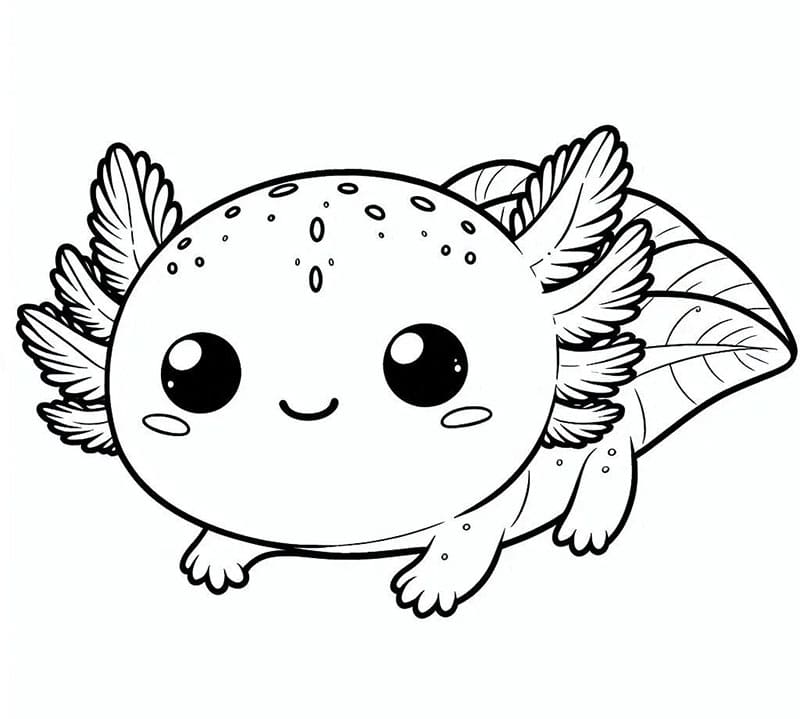 L'axolotl è davvero carinissimo da colorare