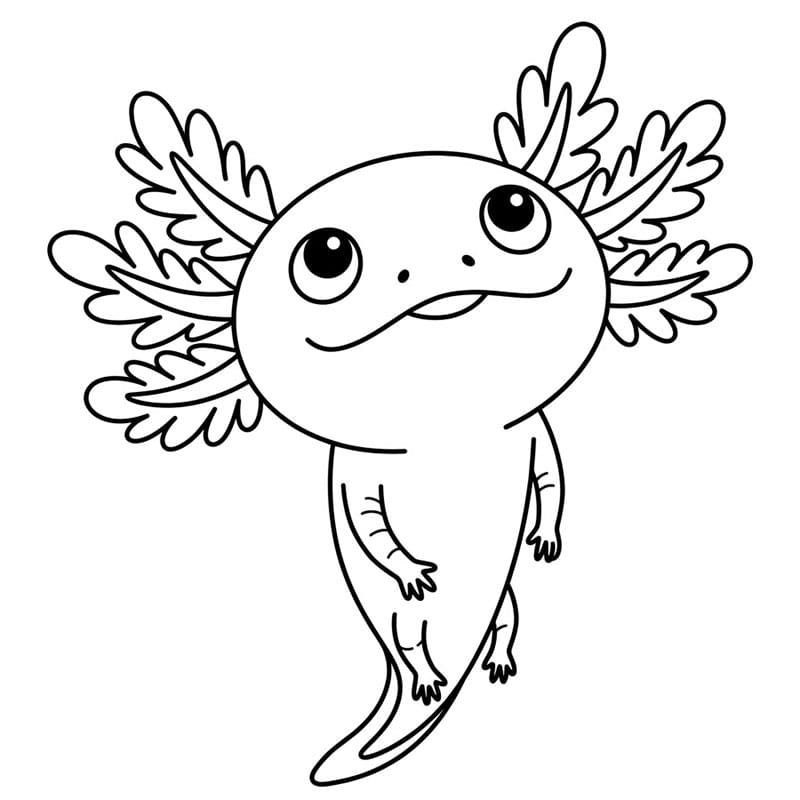 L'axolotl guarda in alto da colorare
